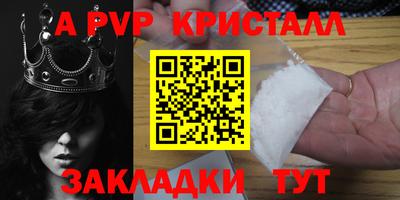 ECSTASY Гай