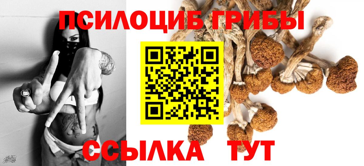 Галлюциногенные грибы GOLDEN TEACHER Мариинск
